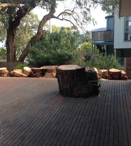 image of tree removal